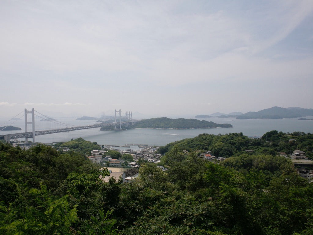 OKAYAMA, Japan vs. Somerset, UK - Fresh Fruits from the Regions